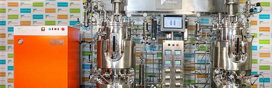 Fermex Solution LLP Cover Image