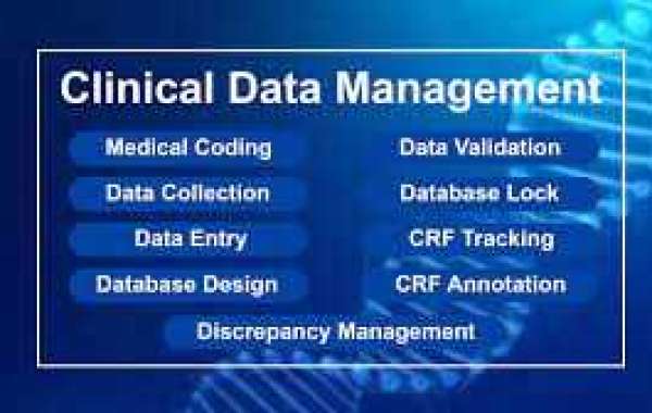 Clinical Data Management Solutions