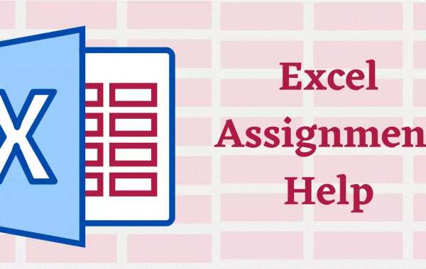 Excel Assignment Help Online
