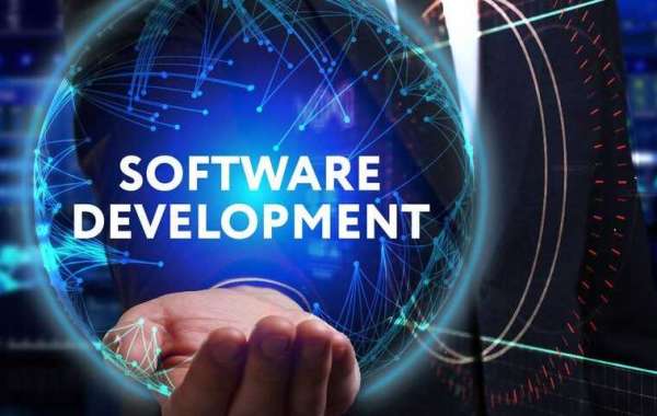 Software Development Company in India