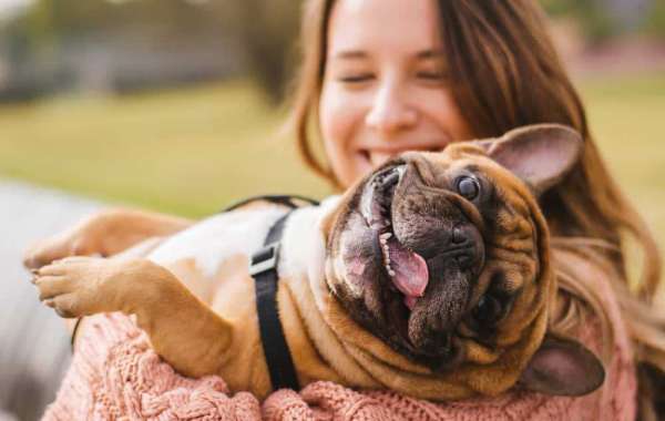 What You Need To Know Before Desexing Your Pets