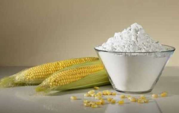 Maize Starch Manufacturing Plant Project Report 2023: Business Plan, Raw Materials, Cost and Revenue