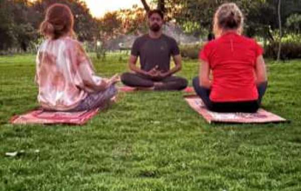 Daily Drop Yoga Classes: Nurturing Your Practice Anywhere, Anytime