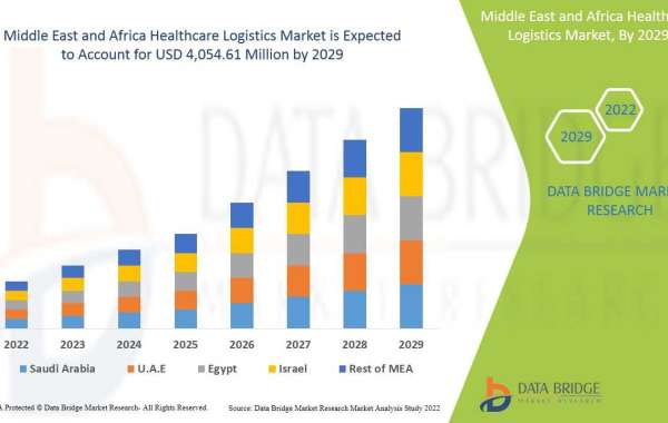 Middle East and Africa Healthcare Logistics Market: Industry Analysis, Size, Share, Growth, Trends and Forecast By 2029