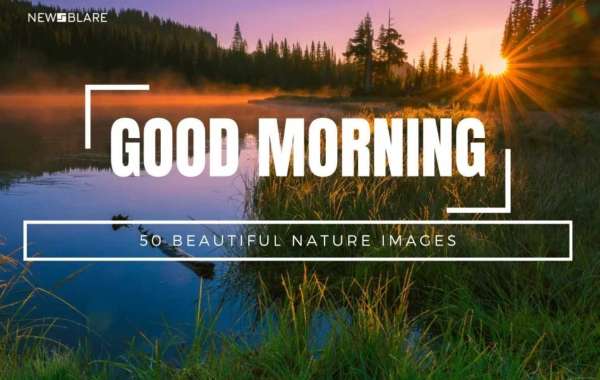 Escape to Tranquility: Discover the Healing Power of Nature through Good Morning Images