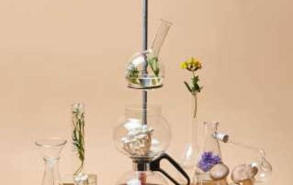 Unlocking the Potential of Magic Mushroom Microdoses in Vancouver