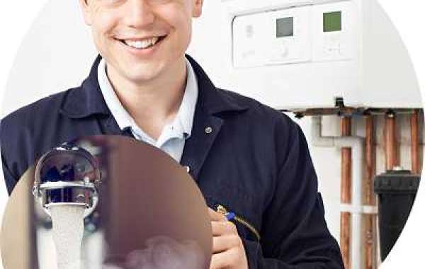 Evaluation of Several Varieties of Hot Water Heating Systems