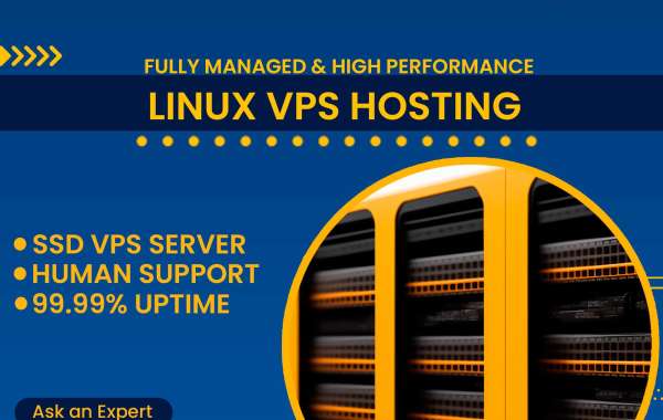 Linux and Windows Hosting in USA: Powerful and Reliable Web Solutions
