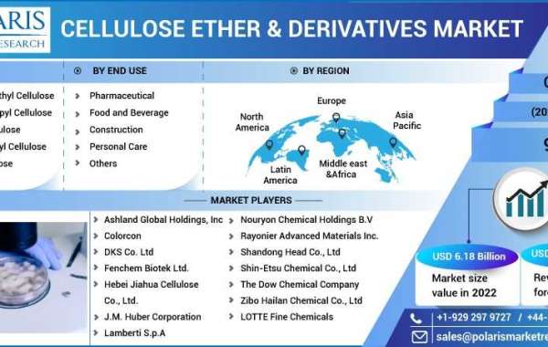 Cellulose Ether & Derivatives Market Research Analysis Report With Huge Growth 2023-2032