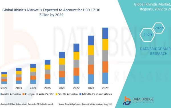 Rhinitis Market Research Report:  Growth, Trends and Forecast By 2029