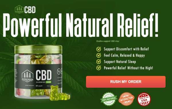 The Delicious Benefits of Evergreen CBD Gummies in Canada