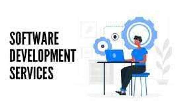 The Evolution and Impact of Software Development Services