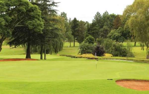 Wingate Golf Club: Where Elegance Meets Golfing Excellence