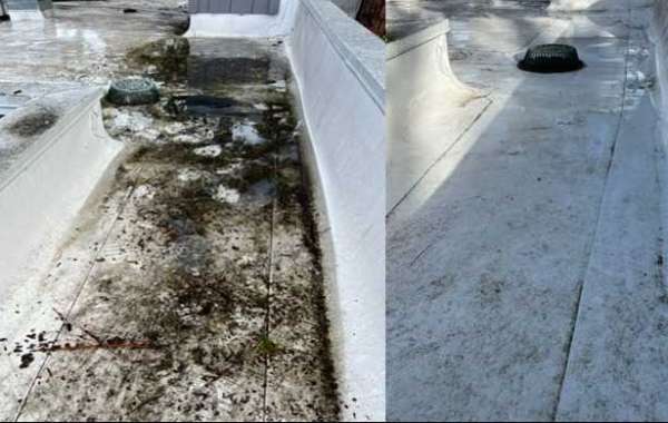 Roof & Gutter Cleaning Services