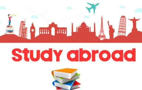 Future Job Prospects: How Studying Abroad in the Netherlands Impacts Your Career Growth