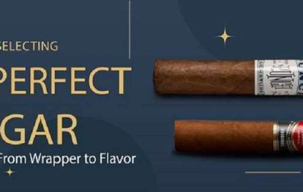 A Guide to Selecting the Perfect Cigar: From Wrapper to Flavor