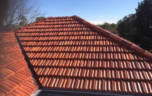 How to keep your roof clean and maintained?