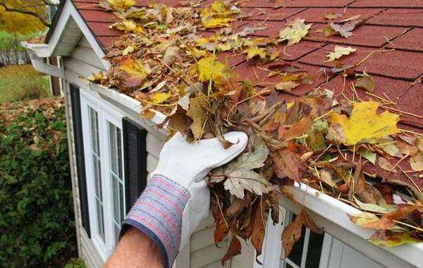 The Power of Prevention: Why You Should Hire a Professional Gutter Cleaning Company for Your Home