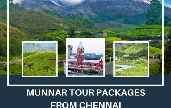 Unveil the Enchanting Beauty of Munnar with Lock Your Trip