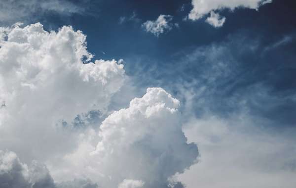 The Top Brands of Backup Generators and Why They're Superior
