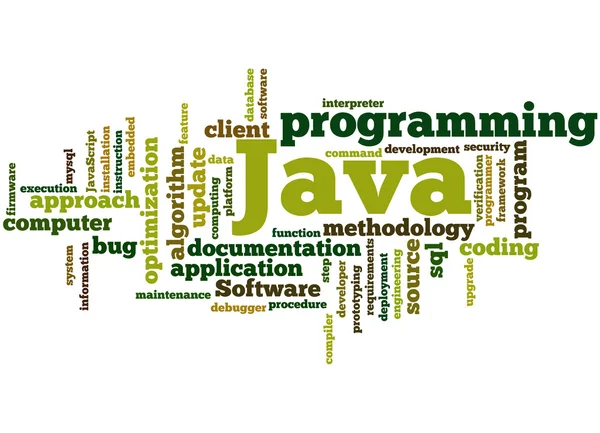 Unveiling the Power and Versatility of Java Programming