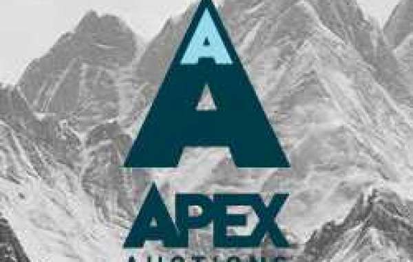 Apex Auctions: Your Gateway to Incredible Auctions in Alaska