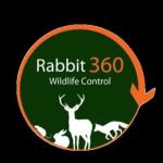 Rabbit 360 Website Control Profile Picture