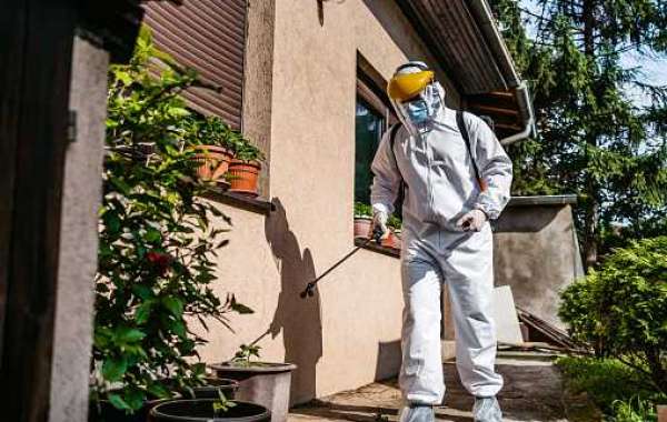 From Pestilence to Pristine: How Pest Control Transforms Your Living Space