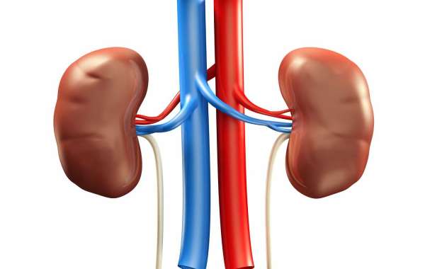 Home Remedies For Kidney Stones Pain
