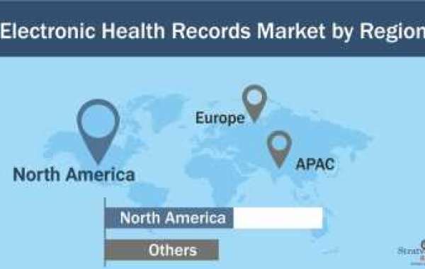 "Patient-Centric Care: Empowering Individuals through Electronic Health Records Market Access"