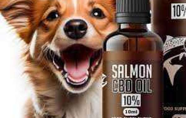 CBD for Arthritis in Pets: Alleviating Joint Pain in the UK