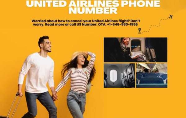 Hassle-Free Flight Cancellation: A Step-by-Step Guide with United Airlines Phone Number.