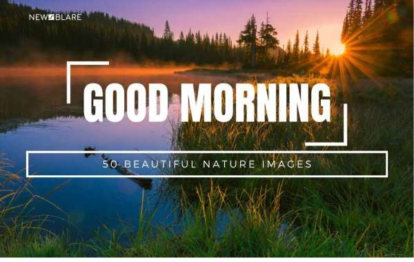Embracing the Serene Beauty: Nature Good Morning Images to Start Your Day on a Positive Note