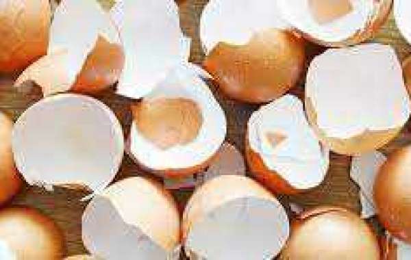 Asia Pacific Eggshell Membrane Market Size, Share, Trend and Forecasts to 2032.