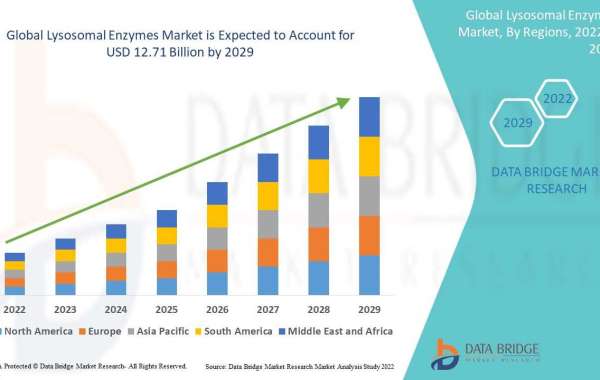 Analyzing the  Lysosomal Enzymes  Market: