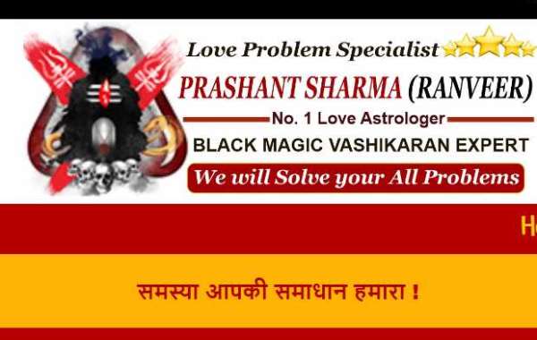 India's best astrologer for solve love problem
