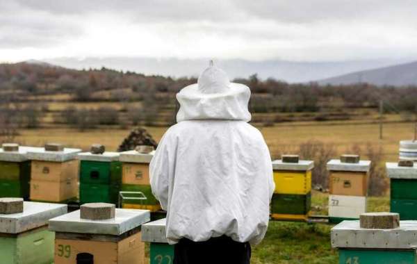 Discover the Best Brood Boxes for Successful Beekeeping | BeeKeepClub