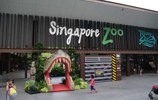 All you need to know about Singapore Zoo Tickets