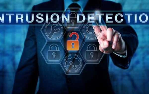 Securing the Digital Frontier: The Intrusion Detection System Market