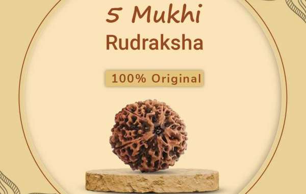 The Mystical 5 Mukhi Rudraksha: A Spiritual Gem