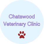 Chats Wood Vet Profile Picture