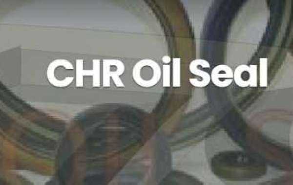 Efficiency Embodied: Exploring NDK Oil Seal Solutions