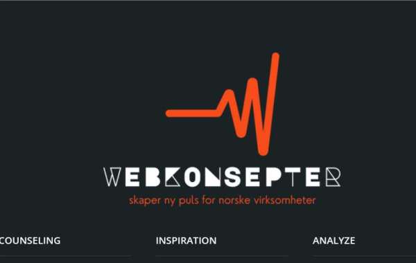 The Role of Web Development Agencies in Promoting Business: A Case Study of WEBKONSEPTER.no