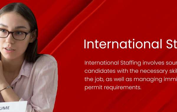 Navigating Excellence: Vision India’s Comprehensive Staffing Services across Major Indian Cities