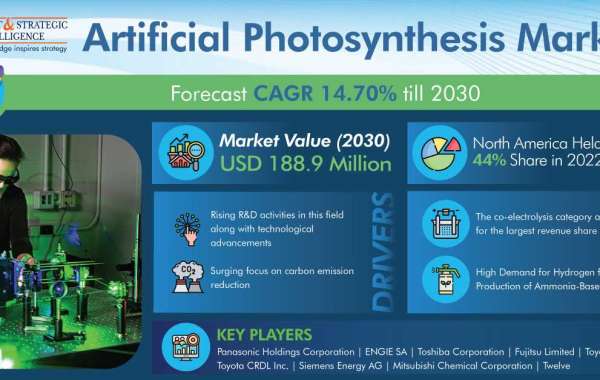 Harvesting Sunlight: The Artificial Photosynthesis Market