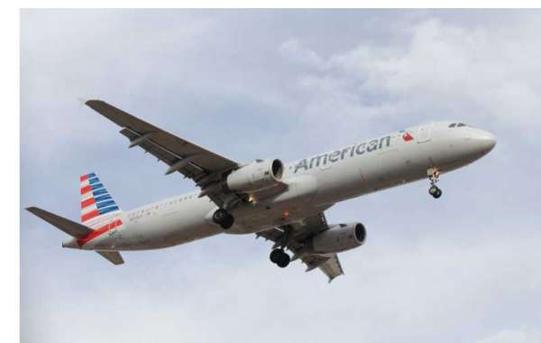 How do I Talk to a Person at American Airlines?