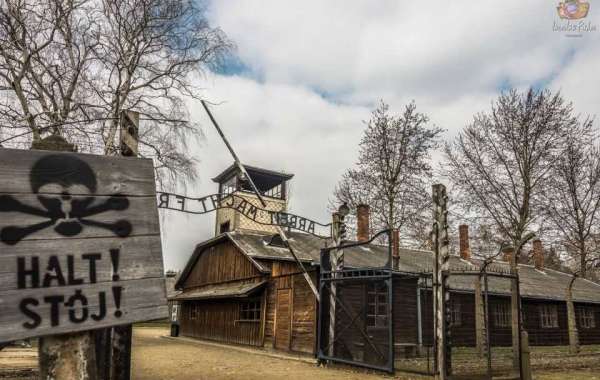 A Sacred Journey: Exploring Auschwitz's Memorial Sites