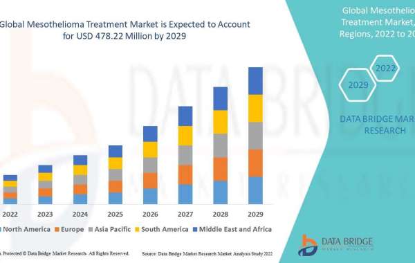 Mesothelioma Treatment Market Innovation, Trend, Growth Outlook and Business Opportunities