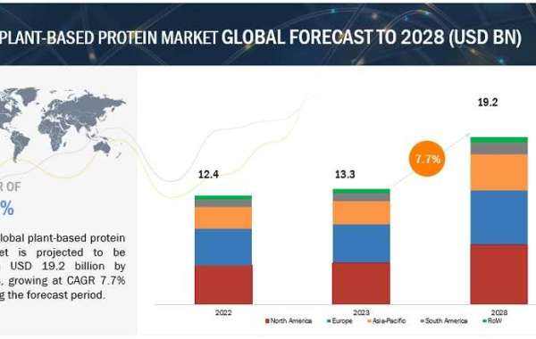 Exploring the Growing Trend: Plant-Based Protein Market Analysis
