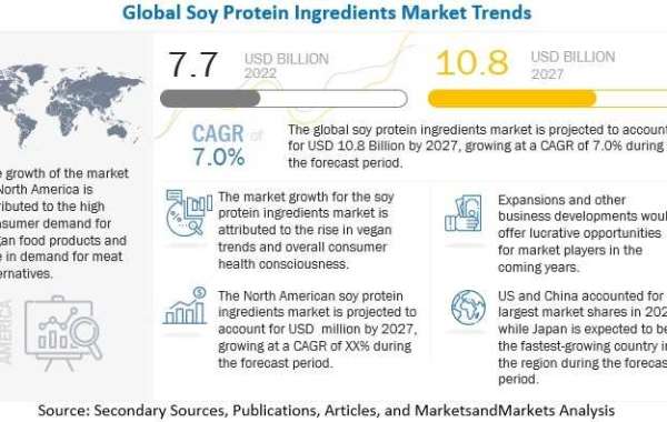 Soy Protein Ingredients Market: Understanding Market Trends, Drivers
